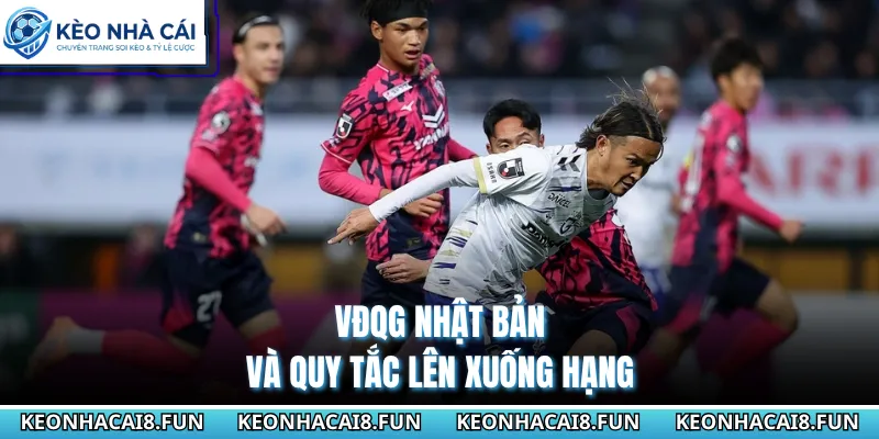 VĐQG Nhật Bản 29 VĐQG Nhật Bản và quy tắc lên xuống hạng